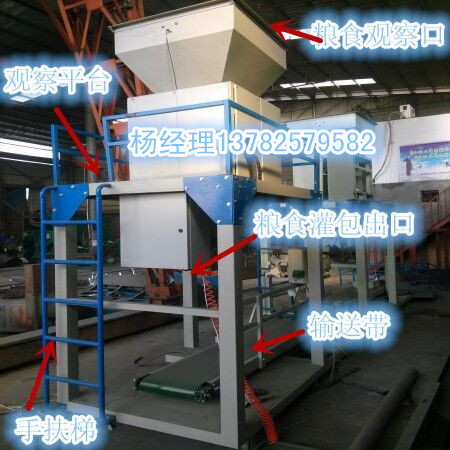 定量包裝機-港口定量包裝秤-自動裝袋機