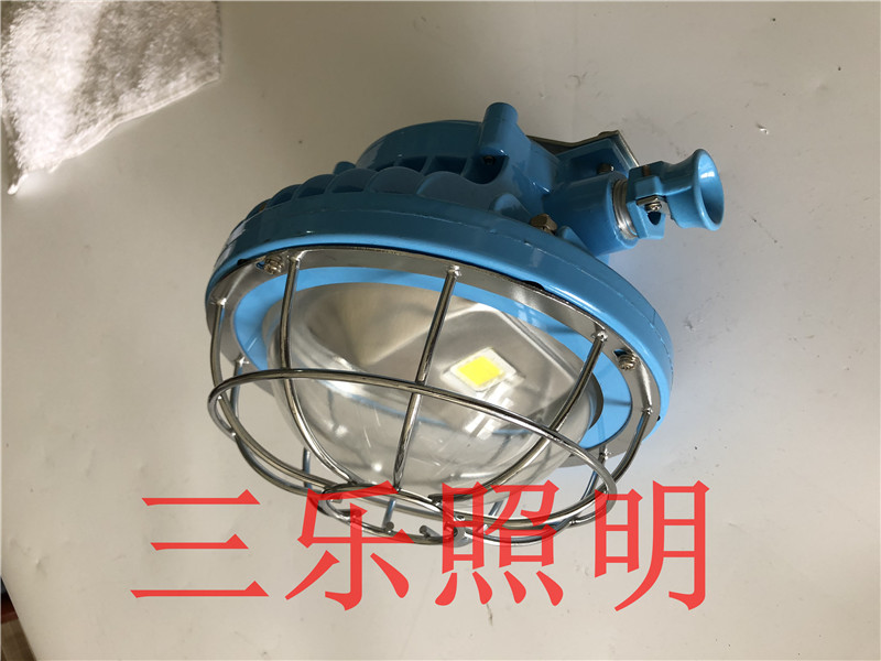 DGS40/127L(A)LED礦用隔爆型巷道燈