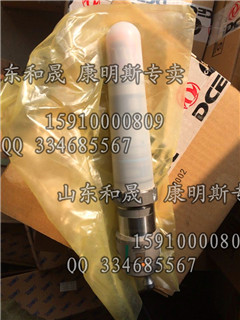 康明斯供應(yīng)康明斯QSK60噴油器 4954374【國內(nèi)現(xiàn)貨】