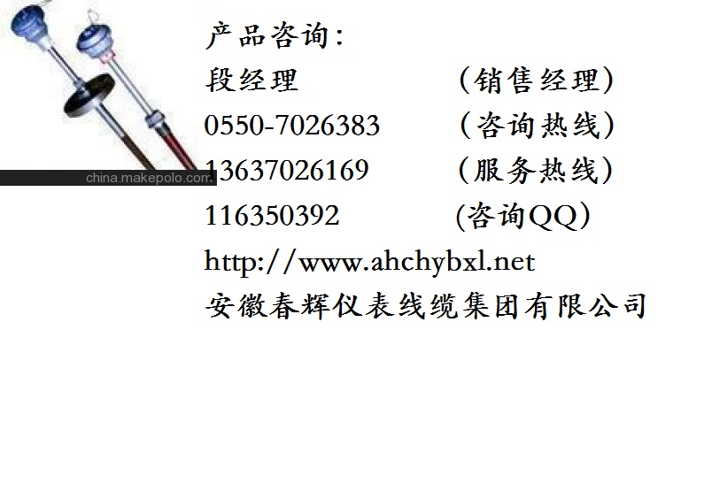 WZPKB-240一體化隔爆鉑熱電阻與WZPK-240隔爆鉑熱電阻有什么不同