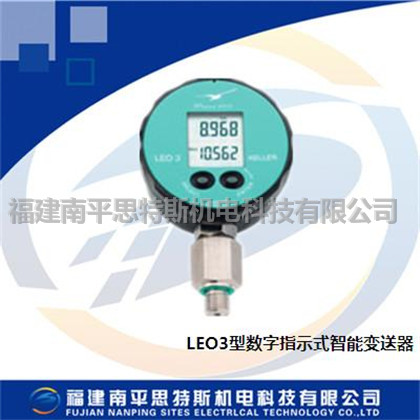 LEO3 數(shù)字指示式智能變送器