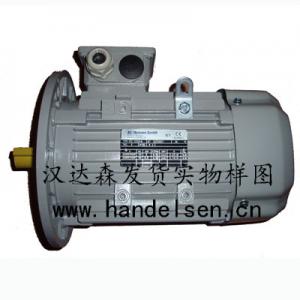 AC-MOTOREN GMBH感應(yīng)電機(jī)/循環(huán)電機(jī)/磁力電機(jī)