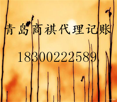 專業(yè)公司注冊、代理記賬、財稅咨詢