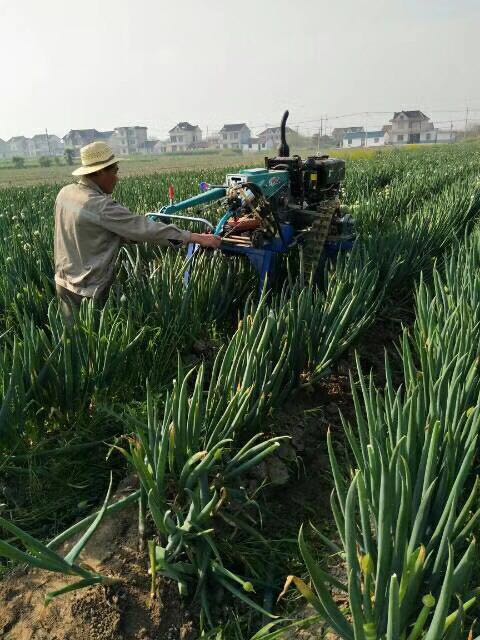 果園深度開(kāi)溝施肥回填機(jī)