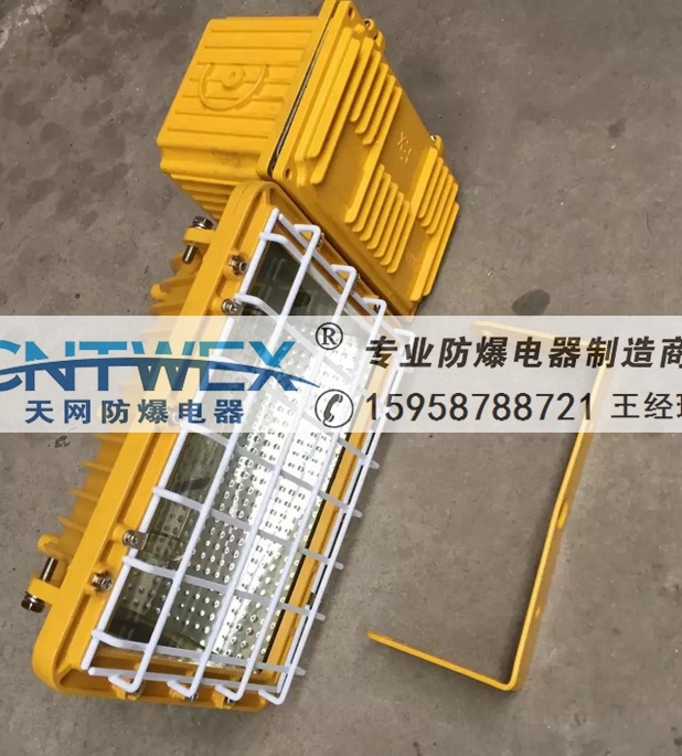 BTC6160防爆泛光燈BAT53大功率防爆投光燈gcd5013 250w