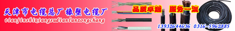 廠家供應(yīng)小貓牌電纜YJV3*10+2*6電力電纜YJV3*10+2*6電力電纜