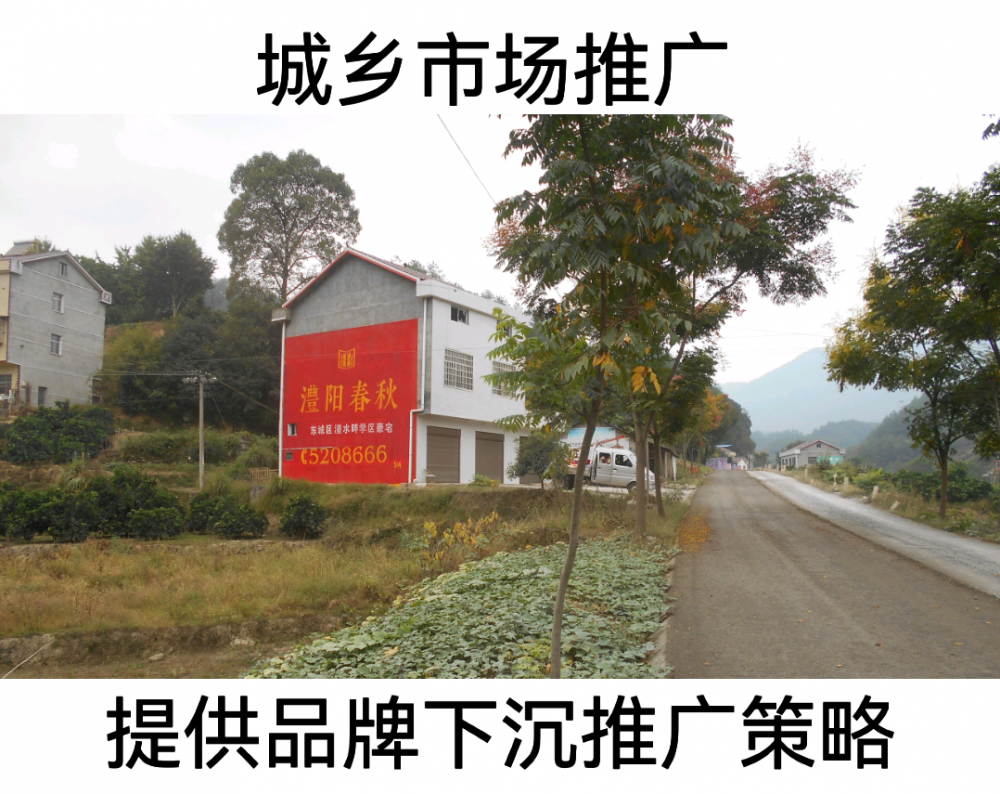 資陽刷墻廣告 民墻廣告 手寫廣告 刷墻墻體色飽滿 畫面平直亮麗