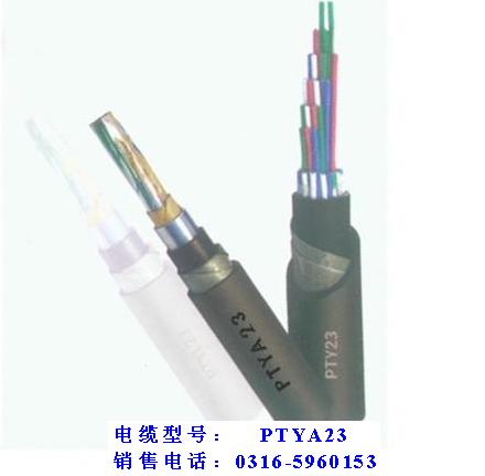 HYA500×2×0.63（電纜現(xiàn)貨）