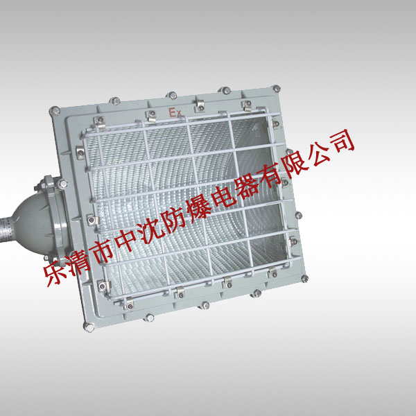 BFC8100一體式防爆泛光燈，BGC8110防爆泛光燈價格，防爆泛光燈廠家