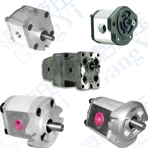 Gear Pumps