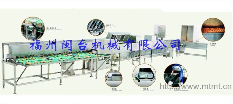 洗蛋機、清洗分級機(MT-100)