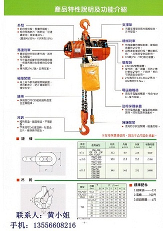 供應(yīng)銷售臺灣誠岱廠永升牌（黑熊）環(huán)鏈電動葫蘆及配件