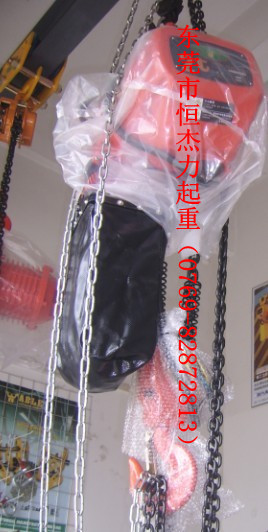 批發(fā)長沙環(huán)鏈電動葫蘆，株洲環(huán)鏈電動葫蘆，湘潭環(huán)鏈電動葫蘆，郴州環(huán)鏈電動葫蘆