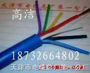 【天津計(jì)算機(jī)電纜廠家】%【天津計(jì)算機(jī)電纜價(jià)格】