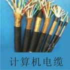 計(jì)算機(jī)電纜 DJYJPV電纜 djyvp廠家報(bào)價(jià)/廠家熱線