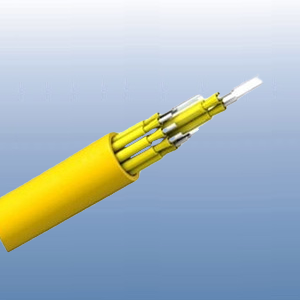 室內(nèi)分支光纜
