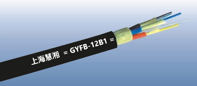 GYFB-12B1      12оģҰ(zhn)ҷ|