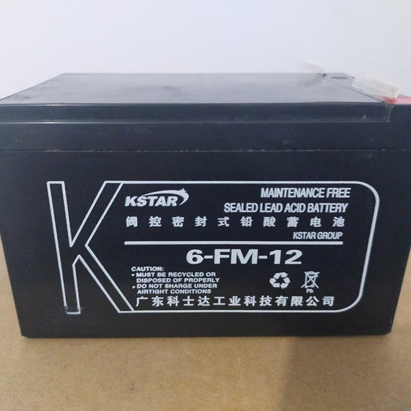 科士達蓄電池通訊設(shè)備UPS電源電梯門禁電池6-FM-12 12V12AH