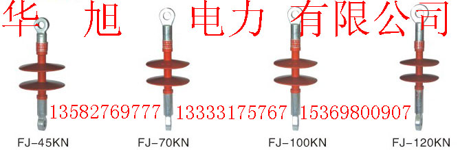 復(fù)合針式絕緣子 FPQ-10T(2傘）(3傘）FPQ2-10T(2傘）（4傘）