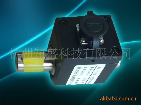 NS1000動(dòng)態(tài)扭矩傳感器 杭州動(dòng)態(tài)扭矩傳感器 小巧型緊湊型動(dòng)態(tài)扭矩傳感器