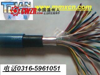 HYYC 通信電纜 HCJVVP22；HCJVV22（程控局用交換機(jī)電