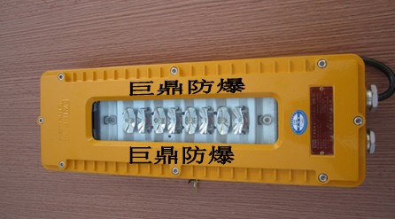 DGS10/127L(A)礦用隔爆型LED巷道燈，10W巷道燈，127V巷道燈