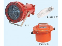 礦用175W投光燈，防爆70W投光燈，LED20W投光燈，DGC投光燈