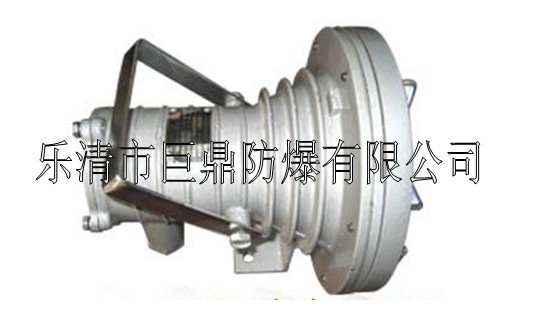 DGC24/127L（A）礦用隔爆型LED投光燈，礦用LED投光燈，24W投光燈