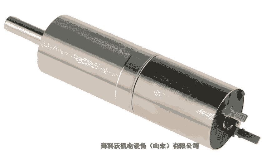 光刻機(jī)電機(jī)MAXONB75D3A7B52FO/123830/500267/B7744