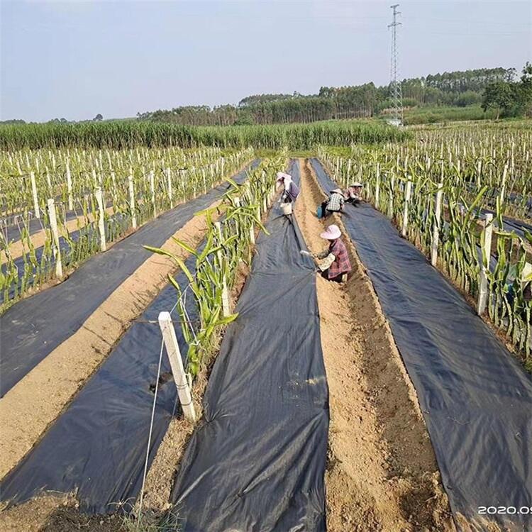 山東pe編織布,防草布廠家,化肥袋廠家,閥口袋廠家,pe編織布廠家 -