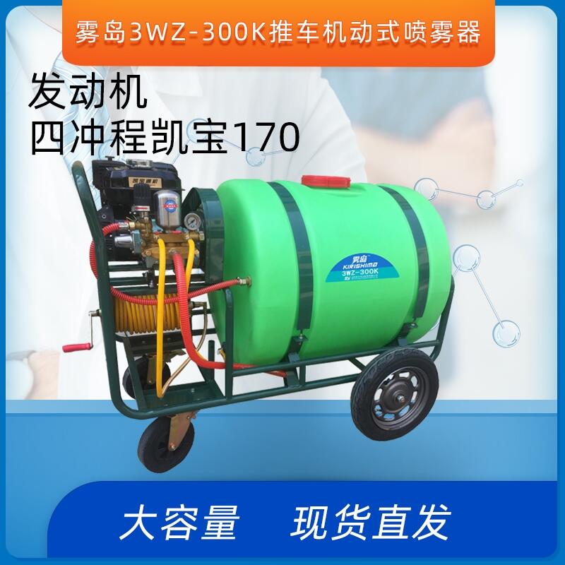 霧島3WZ-300K手推式噴霧器消殺防臭凱寶170四沖程機動噴霧器