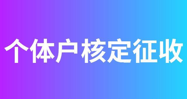  上海個體核定 上海核定 降低綜合稅負(fù)