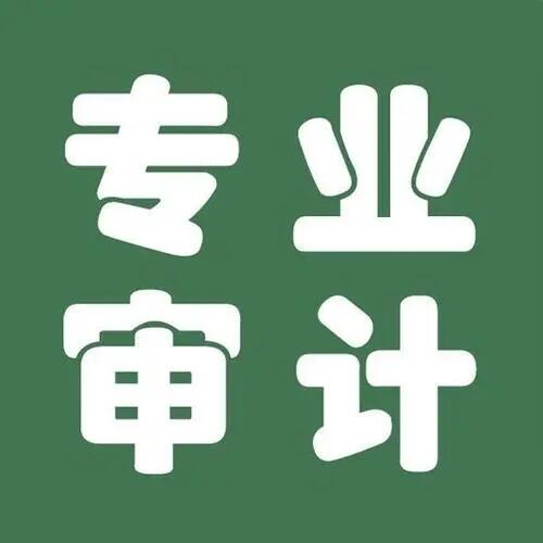 鄭州公司出審計(jì)報(bào)告,鄭州二維碼審計(jì)報(bào)告