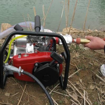 惠州二沖程水冷森林消防泵型號(hào)