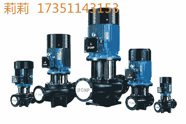 濰坊南方泵業(yè)  TD100-33/2  廠家直銷