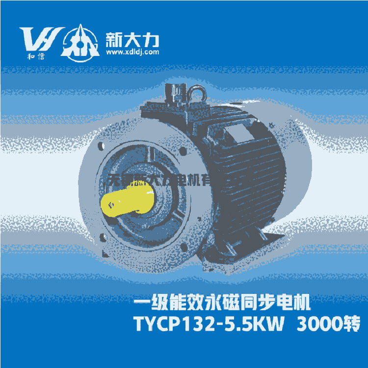 新大力電機(jī) 一級(jí)能效 稀土永磁變頻同步電動(dòng)機(jī) TYCP160-8-11KW/3000