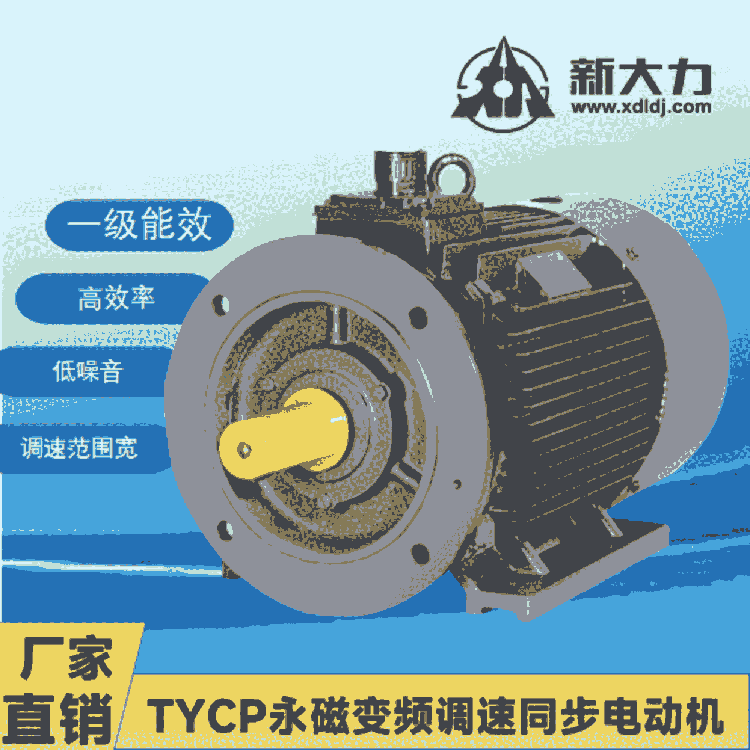 新大力電機(jī) 一級能效 稀土永磁變頻同步電動機(jī) TYCP250M-8-110KW 永磁電機(jī)