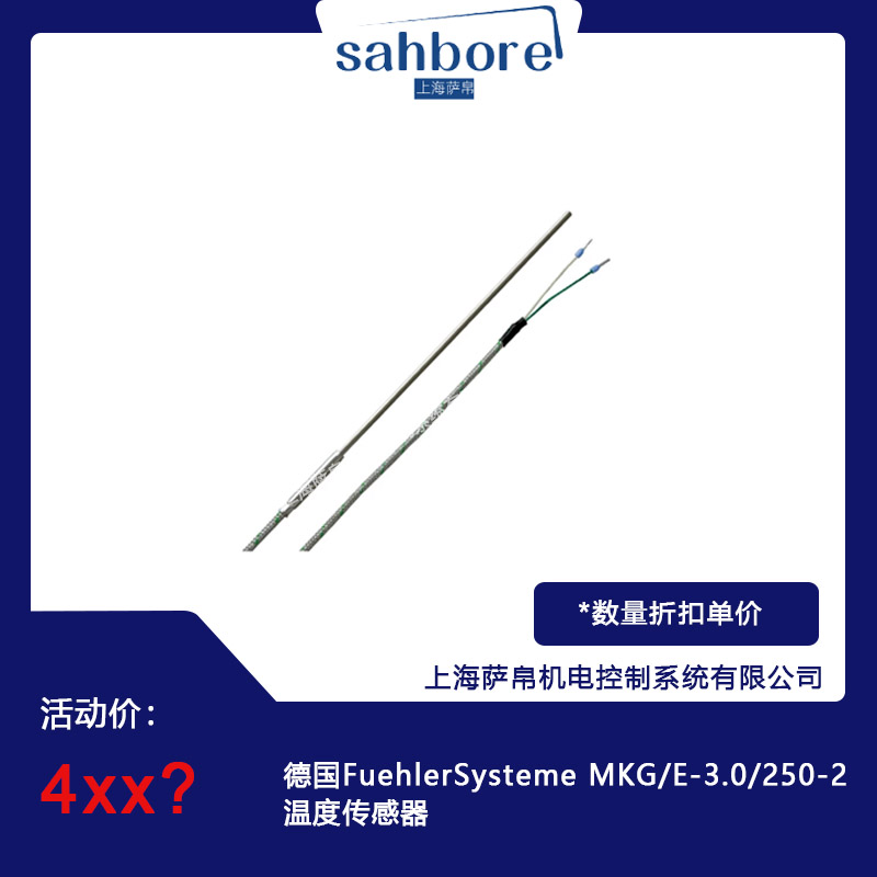 德國(guó)FuehlerSysteme MKG/E-3.0/250-2溫度傳感器