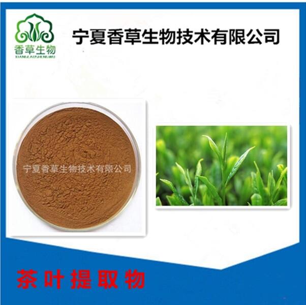 茶葉提取物 香草生物供應(yīng)食品級綠茶粉 茶氨酸20% 綠茶多糖