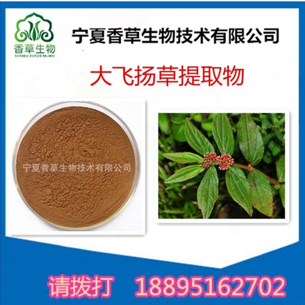 飛揚(yáng)草提取物 50:1 高比例大飛揚(yáng)草粉 萃取飛揚(yáng)草浸膏粉原料