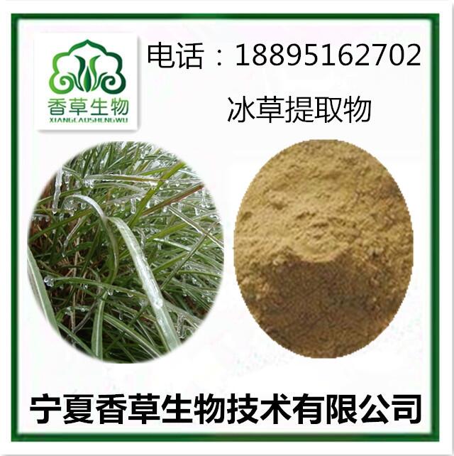 冰草根提取物寧夏冰草根粉 冰草葉粉 濱草提取物浸膏 冰草葉提取物