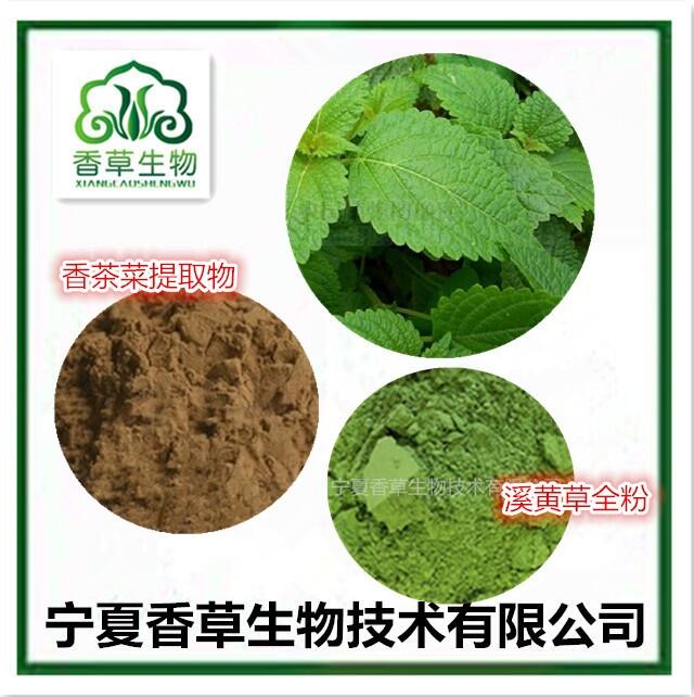 香茶菜提取物10:1 香茶菜根濃縮浸膏 香茶菜粉袋泡茶原料 溪黃草速溶粉