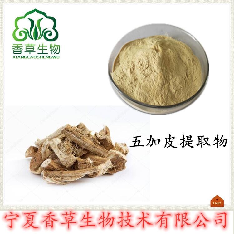 五加皮提取物生產(chǎn) 五加皮粉價格 濃縮浸膏粉