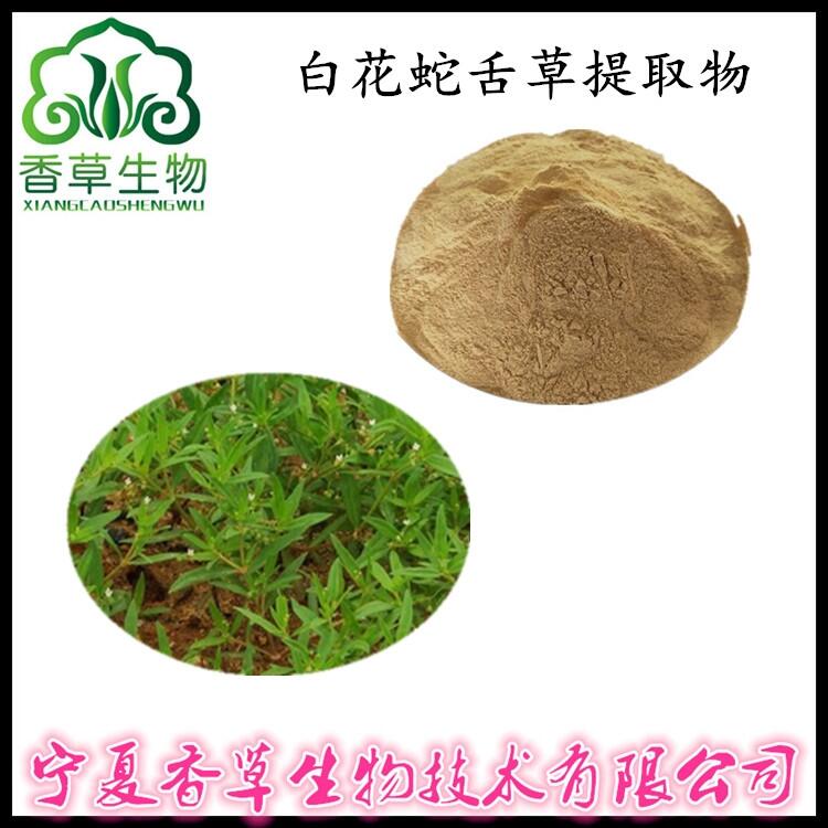 白花蛇舌草提取物 產(chǎn)地貨源 白花蛇舌草粉 萃取車(chē)前草甙 蛇針草速溶粉