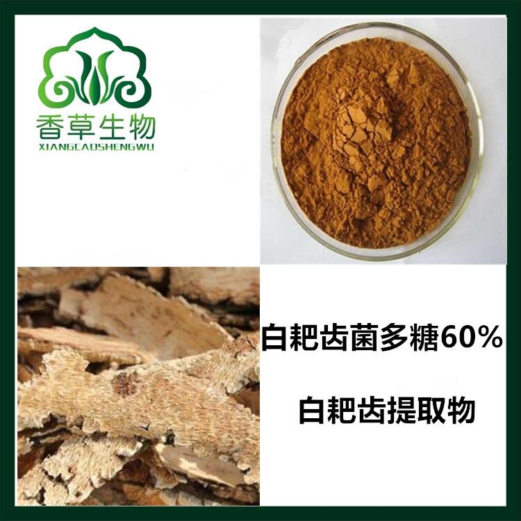 白耙齒菌多糖60% 白耙齒提取物 濃縮粉水溶性 白耙齒菌粉價(jià)格