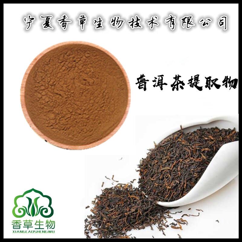 普洱茶提取物供應(yīng)商 普洱茶粉 普洱茶多酚 普洱濃縮粉