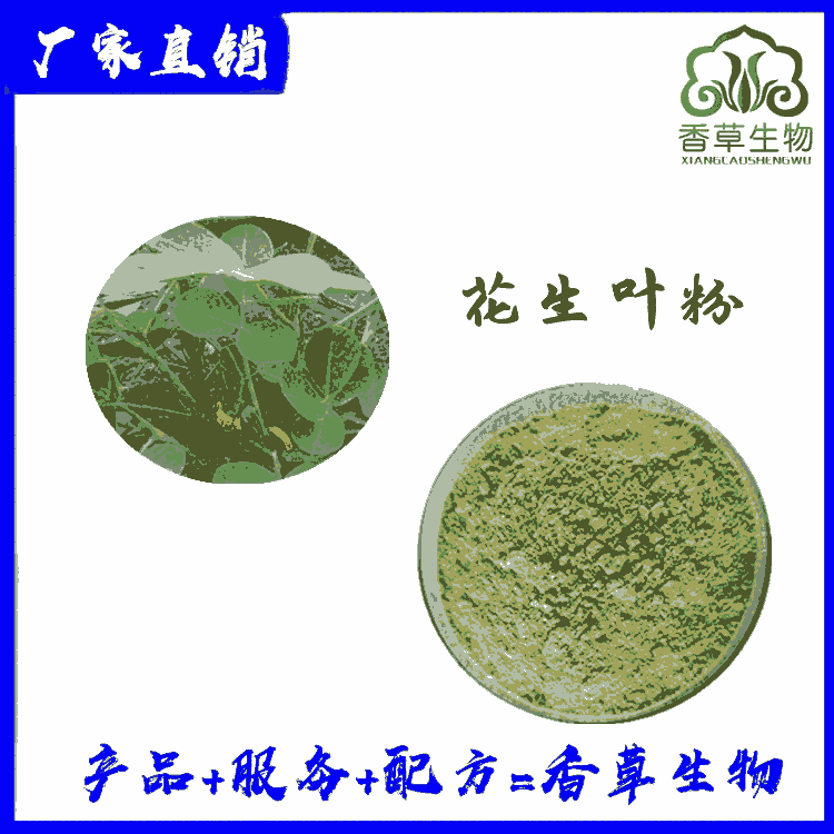 花生葉粉出廠價(jià) 花生葉速溶粉 濃縮花生葉粉 花生葉提取物