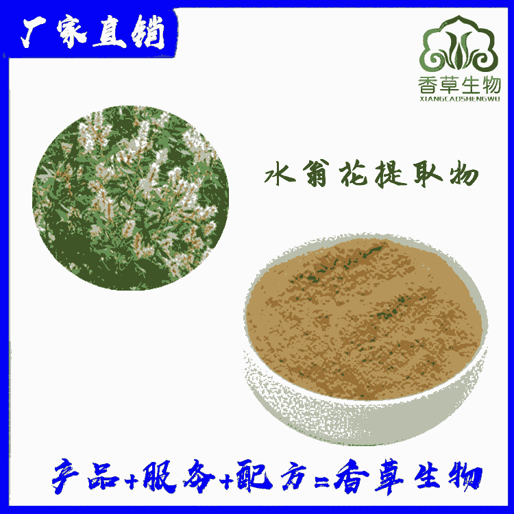 水翁花提取物比例提取 水翁花粉 浸膏粉供應(yīng) 水溶水翁花提取物