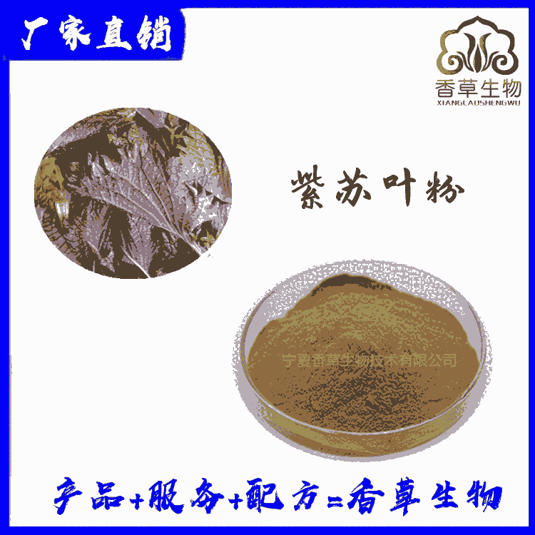 紫蘇葉粉價(jià)格 紫蘇葉濃縮浸膏粉 紫蘇葉提取物 紫蘇提取物