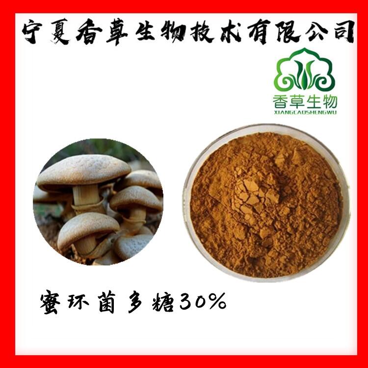 蜜環(huán)菌多糖30% 蜜環(huán)菌多糖粉 蜜環(huán)菌提取物濃縮粉水溶